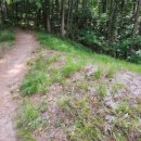 산향기의 속리여행 이미지