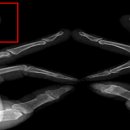 장원행정사사무소 이미지