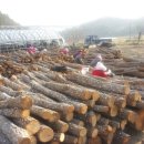 정남진농장 이미지