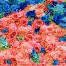 송이테마공원 주차장 이미지