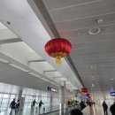 (주)티비소프트 | [상하이 여행] 인민광장 근처 5성급 호텔 숙소 추천! 래디슨 블루 호텔 상하이 뉴 월드 후기