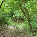 가평문화예술회관 앞 이미지