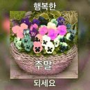한마음심천캠핑랜드 이미지