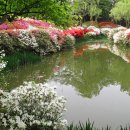 한국표준과학연구원 - 8588 | 한국표준과학연구원