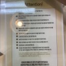 댕동산 | 시흥 넓은 실내 애견카페 추천, 댕동산 후기