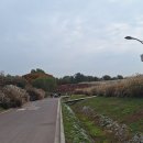 하늘공원 화장실 이미지