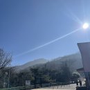 천관산동백숲주차장 | 전남 장흥 여행 천관산자연휴양림 노각나무동 이용팁 여행은 역시 산림욕