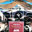 ㈜한율농업회사법인 | 팝업) 신세계 성수 2025 SSG 페스타 미지엄 방문 후기 (3층, 4층)
