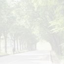 이국정서 이미지