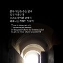 이것이 인생이겠지요 이미지