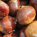 장사농장 이미지