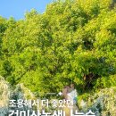 녹색나눔 | 충북 공조팝 명소 추천 | 진천 걸미산녹색나눔숲 (개화현황·주차·가는길)