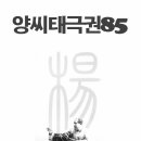 양태극권 이미지