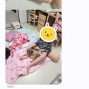 동물보육원 청주지부 네이버블로그