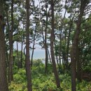 먹놀잠 펜션 이미지