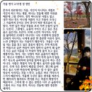 다산숲 이미지