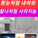 우주구제 네이버블로그