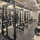 바디테일러 PT 이미지