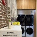 지오 파인트리 이미지