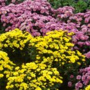 현천3구 이미지