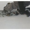 프리미어글로벌 이미지