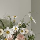 이플스튜디오 이미지