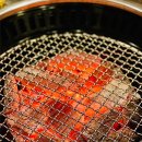 황금송아지 이미지