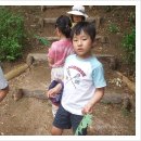 우면생태놀이터 이미지