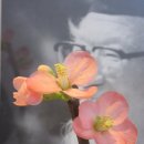 H0186 네이버블로그
