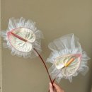 플라워 스타일링 이미지