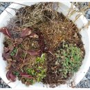 별솔농장 이미지