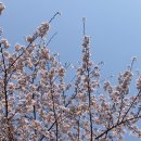 홈카페 핸드드립 이미지