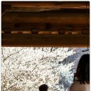 11215-화양-042-1 | 대전 우암사적공원 가족 여행·데이트 명소 3월 봄 꽃구경 주말 가볼 만한 곳 힐링 산책