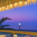 방아머리제1주차장 | 대부도 애견동반 카페 강아지랑 일몰 즐겼던 실내 애견카페