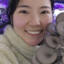 두리농장1 이미지