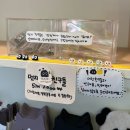 2657 | 제주 조천 소품샵 추천 저렴하고 귀여운 고양이기념품 내돈내산 후기