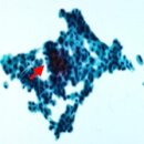 해피비뇨의학과의원 이미지