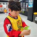 품 태권도 이미지