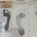 굿피트 코리아 제1사업본부 이미지