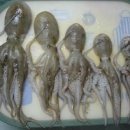 한잔어때 이미지