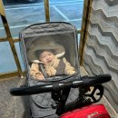 우리또래어린이집 | 어린이집 보내는 시기 고민된다면? 12월생 14개월 어린이집 입소 현실 후기