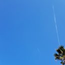 스타렌트카 이미지