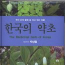 한국약초