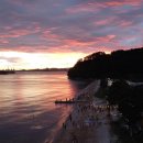 향기다방 이미지