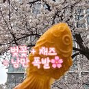 동아대학교 문화예술대학원 | 벚꽃 흩날리는 4월의 시작, 재즈로 귀 호강한 아침 강의 후기 [4월 문화생활]