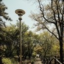 덕동산공원2 이미지