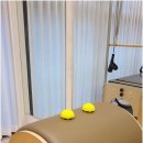 미사바른재활의학과 | 일상의 작은 변화, 미사재활필라테스가 알려주는 바른 움직임의 가치