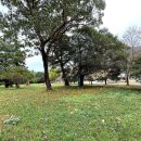 천년농장 | 10월 가볼 만한 곳 추천!!//고창 선운사//울창한 숲과 계곡이 아름다운 천년고찰