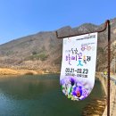 정선읍 행정복지센터 주차장 네이버블로그
