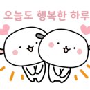 홍익대학교사범대학부속중학교 이미지